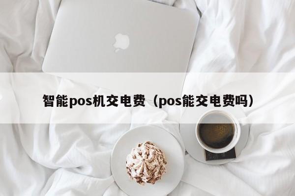 智能pos机交电费（pos能交电费吗）