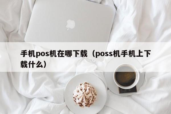 手机pos机在哪下载（poss机手机上下载什么）