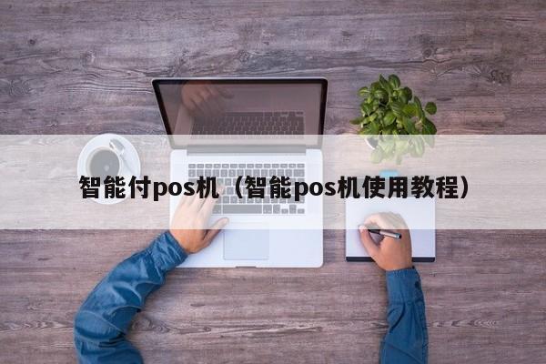 智能付pos机（智能pos机使用教程）