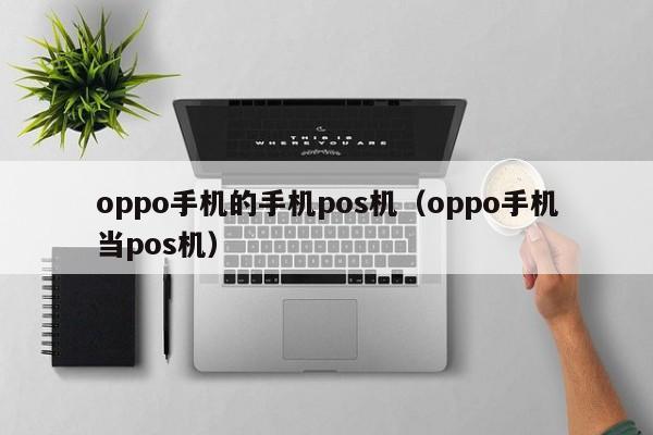 oppo手机的手机pos机（oppo手机当pos机）