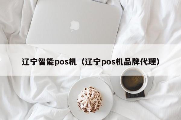 辽宁智能pos机（辽宁pos机品牌代理）