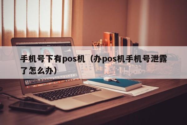手机号下有pos机（办pos机手机号泄露了怎么办）