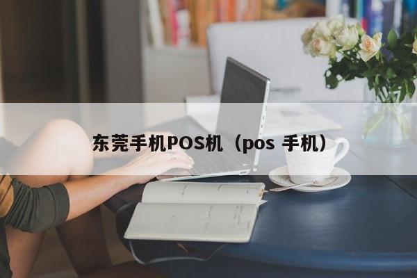 东莞手机POS机（pos 手机）