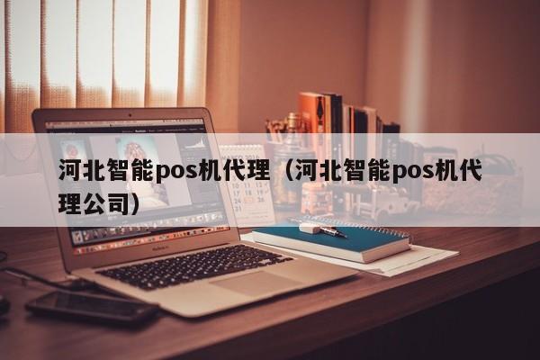 河北智能pos机代理（河北智能pos机代理公司）