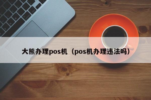 大熊办理pos机（pos机办理违法吗）