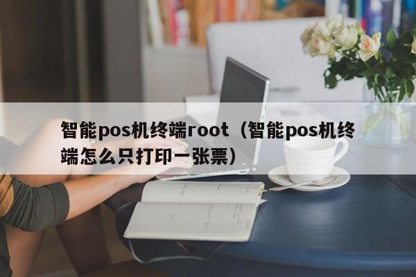 智能pos机终端root（智能pos机终端怎么只打印一张票）