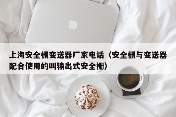上海安全栅变送器厂家电话（安全栅与变送器配合使用的叫输出式安全栅）