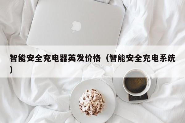 智能安全充电器英发价格（智能安全充电系统）