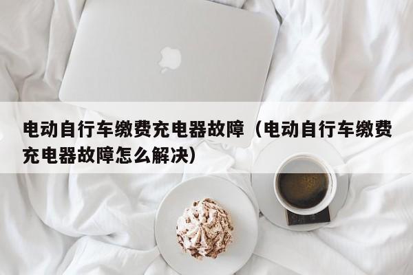 电动自行车缴费充电器故障（电动自行车缴费充电器故障怎么解决）