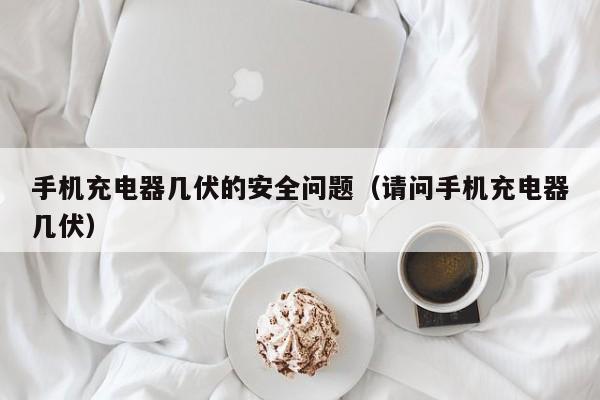手机充电器几伏的安全问题（请问手机充电器几伏）