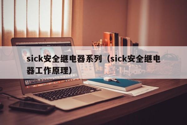 sick安全继电器系列（sick安全继电器工作原理）
