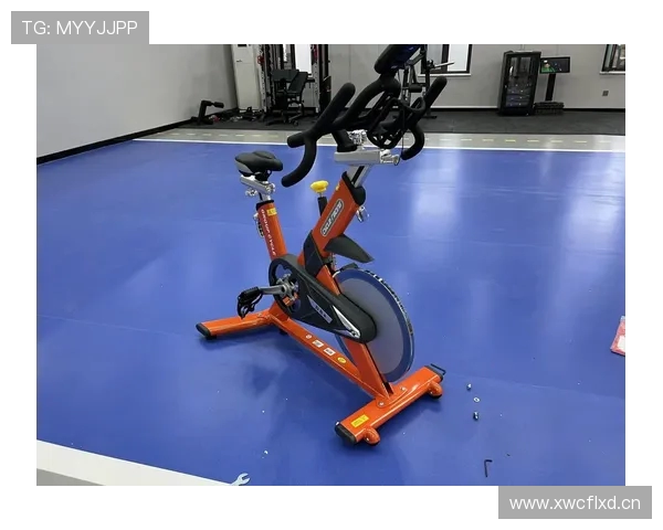 组合健身器材推荐打造家用多功能健身区 组合健身器材推荐打造家用多功能健身区