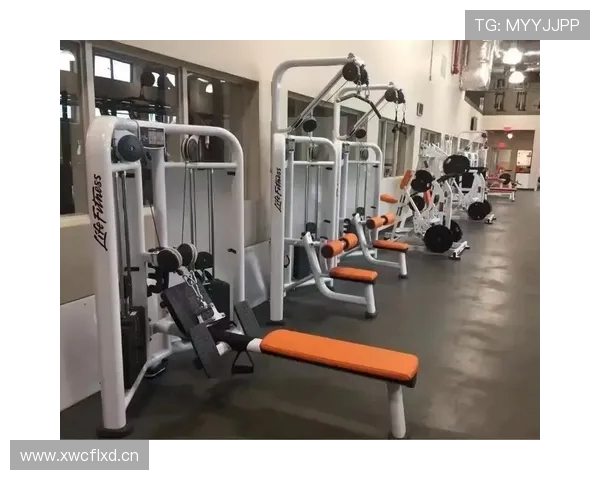 豪迈健身器材品牌介绍及产品线全面分析 豪迈健身器材品牌介绍及产品线全面分析