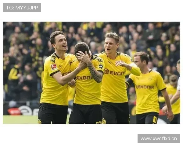 德甲球队博彩赞助商合作历程与未来趋势