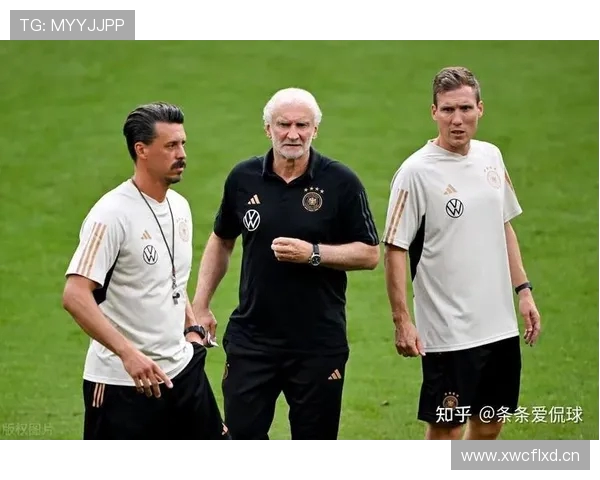 泰达阵容中曾在德甲效力的球员名单